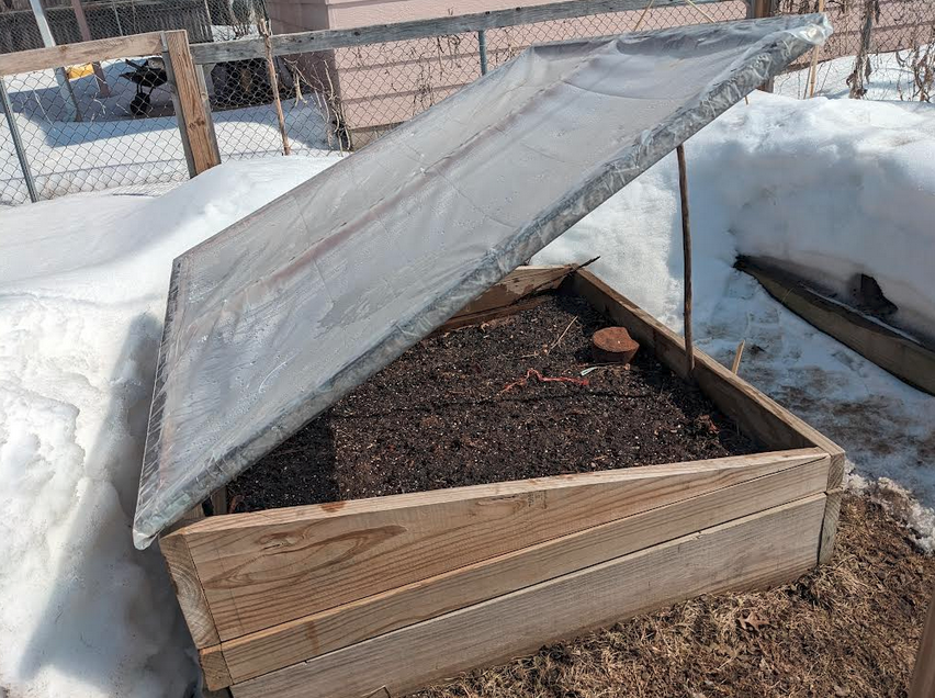 First round of seeds planted outside.
