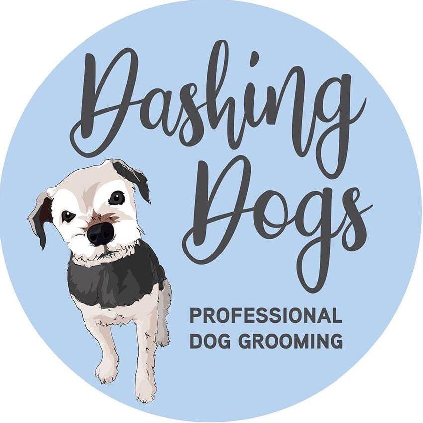 Dashing_Dogs's tweet photo. ~ Dashing Dogs ~

Set up in 2013 to offer one to one dog grooming in Alfreton.

#dashingdogs #alfreton #alfretontown #derbyshire #dog #dogs #groom #groomer #grooming #doggroom #doggroomer #doggrooming #logo #borderterrier #2013 #onetoone #onetoonedoggroomer #onetoonedoggrooming https://t.co/9RJ3GwEt45