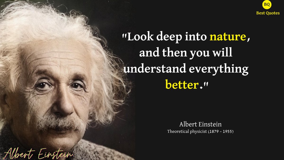 Best_Quotes_100's tweet photo. #quote #alberteinstein #leadership https://t.co/qQsOI12fiF