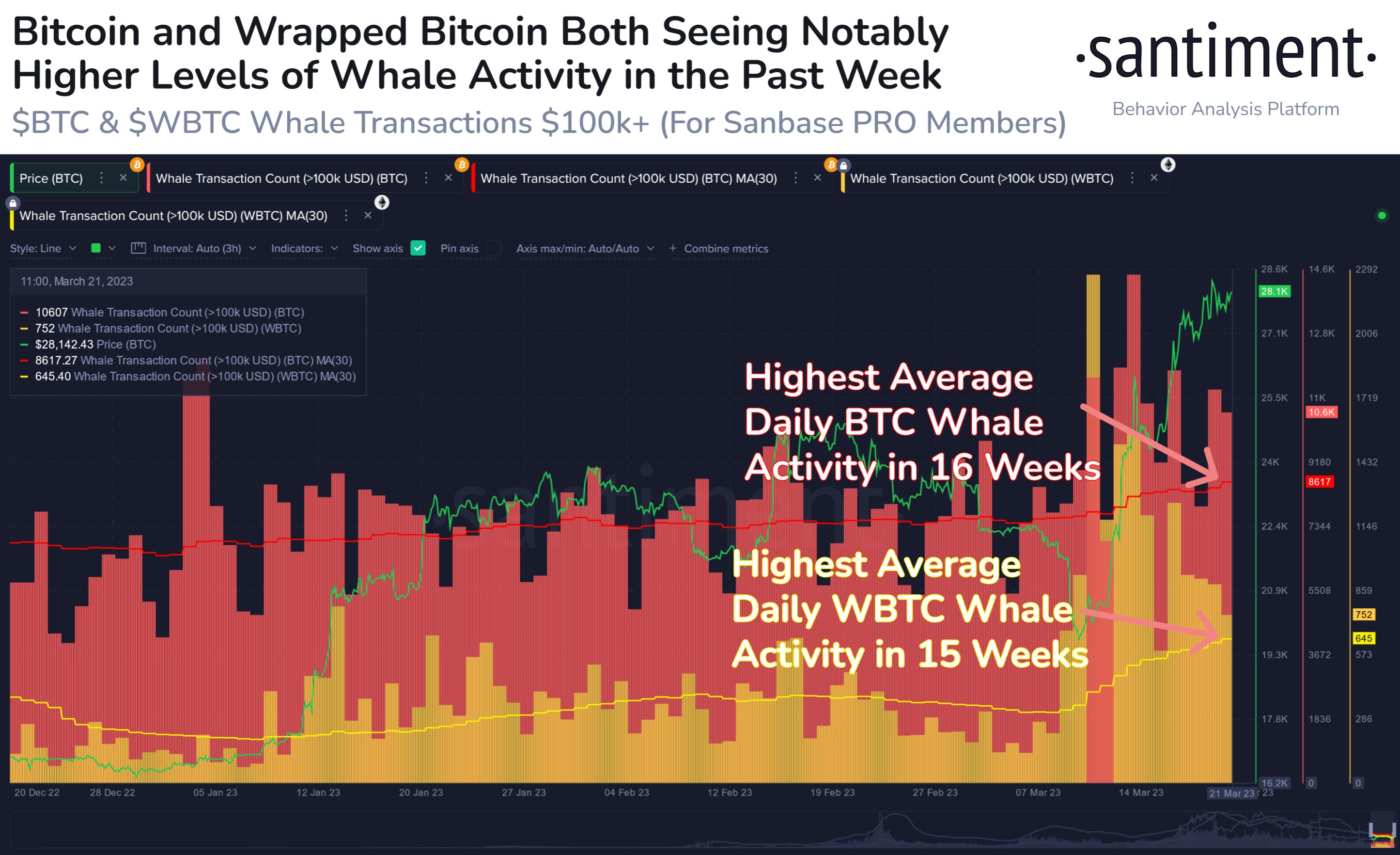 Bitcoin Whale Activity