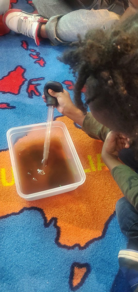 Dr. Weeks 2nd Grade tweet media