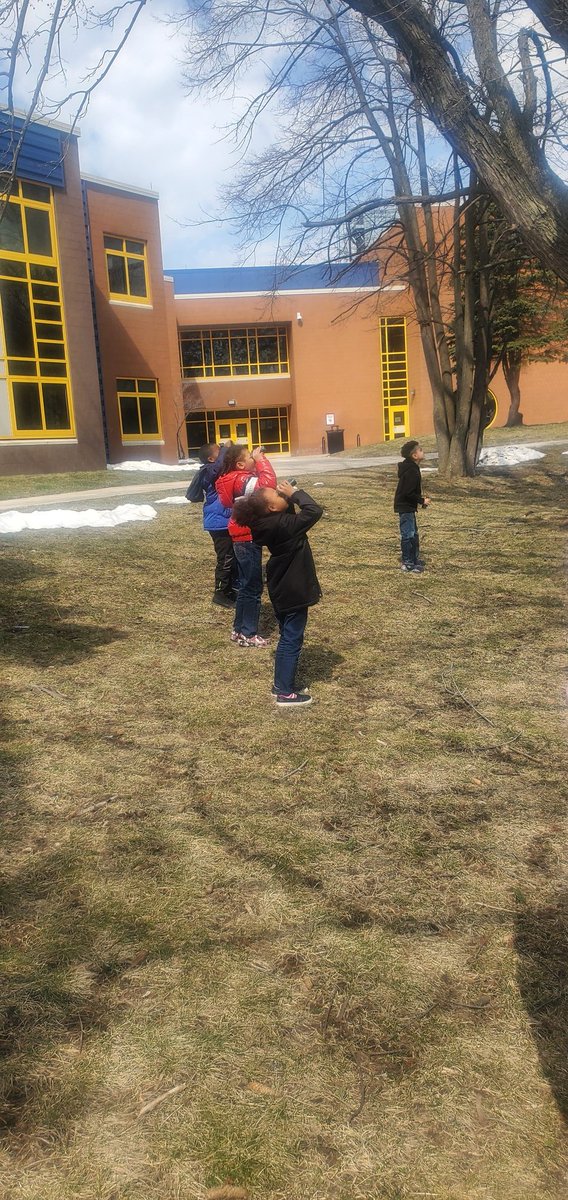 Dr. Weeks 2nd Grade tweet media