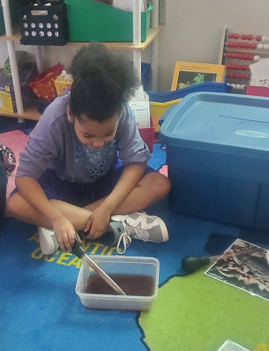 Dr. Weeks 2nd Grade tweet media