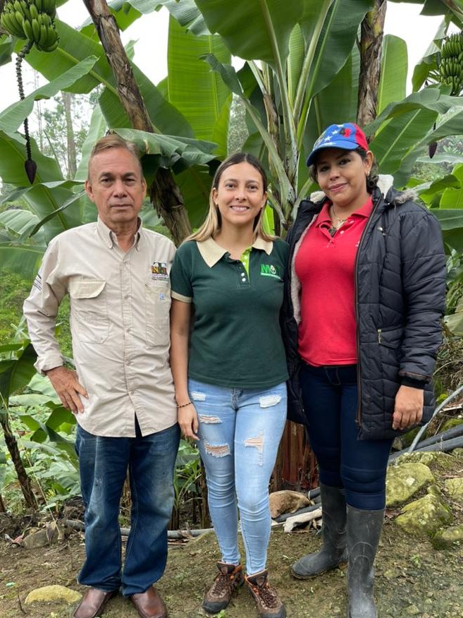 Desde el municipio San Judas Tadeo, se llevó a cabo el taller teórico práctico fusarium R4T y de igual manera se realizó la toma de Muestras, en donde estuvo presente el MPPAPT y sus entes adscritos INSAI e INTI.
@nicolasmaduro 
@wcastropsuv 
<a href="/MinAgriculturaV/">MinAgriculturaVe</a> 
@freddybernalven