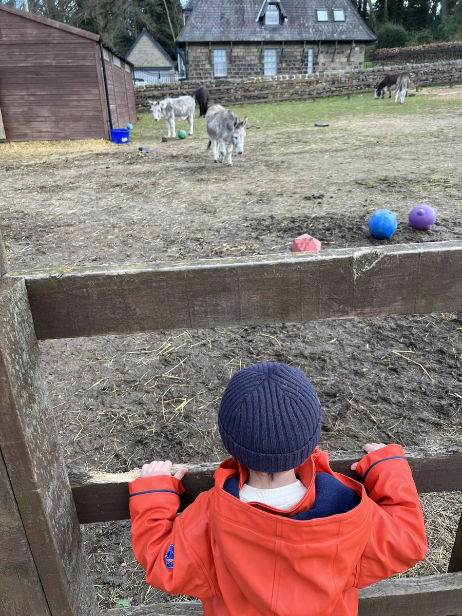 Such a lovely afternoon visiting @HopePastures Teddy loves horses so we went to say hello! All donations help to rescue and rehabilitate desperate horses & donkeys ♥️