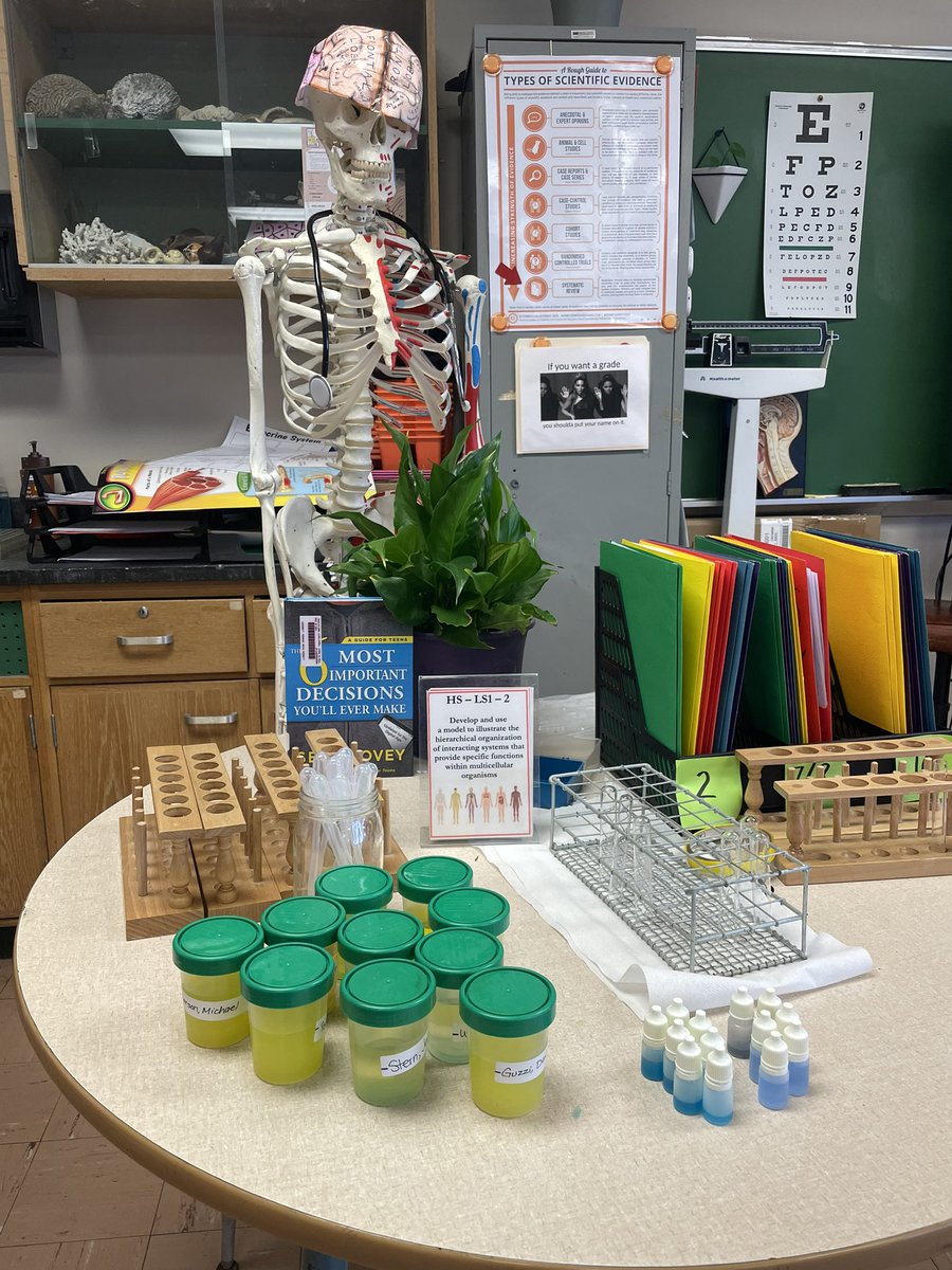KGallagher_SCI's tweet image. residents at #GallagherGeneral are hard at work this week running their first lab tests 🥼 on their full caseload of patients #problembasedlearning #anatomyteacher #edutwitter #criticalthinking #teacherlife