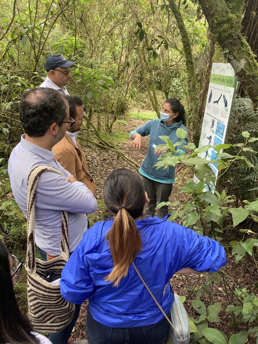 RedAdelco's tweet photo. Reserva natural Rogitama en Arcabuco. Iniciativa de #ComercioConIdentidadLocal y #Terranía que potencia el turismo natural y avistamiento de colibríes. #ConLaSociedadCivil 🇪🇺🤝🇨🇴 https://t.co/SUNN81fuFm