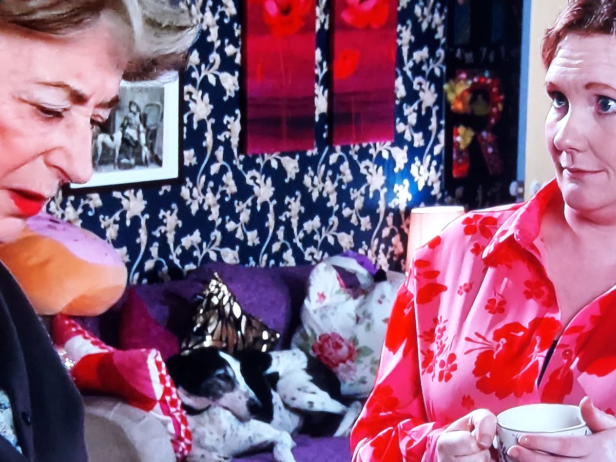 Janetlilley's tweet photo. Does anyone else end up watching Cerberus in scenes instead of the characters? He has his Eagle eye on something in the background 🤣 #Corrie #CorrieDog #Cerberus #TalentedDog https://t.co/wmN2dowHrK