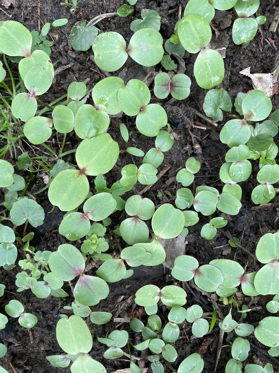 Mathew Barnes tweet media