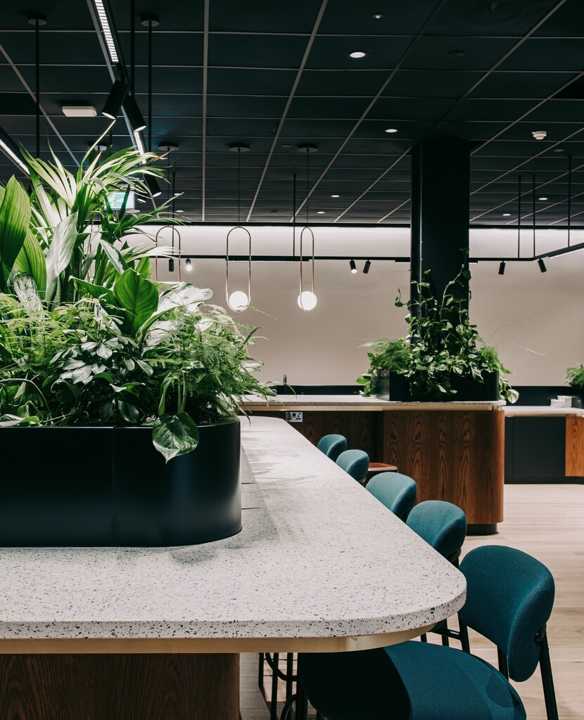 This planting scheme at @thisisstorey is a perfect example of how greenery can seamlessly be integrated into the interior design of a space, working with the surrounding elements rather than just alongside them 🌿 instagr.am/p/CqD93g-MEJ-/