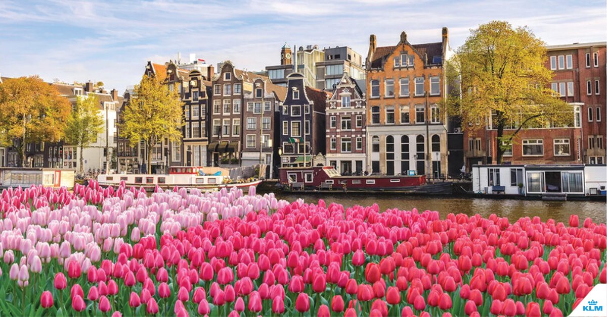 ¡Comenzó la primavera en el hemisferio norte!
Visitar Ámsterdam en esta época es una experiencia inolvidable. Planificá tu próximo viaje con KLM y volá directo para visitar los coloridos campos de Tulipanes.🌷 
Reservá aquí:  bit.ly/3ySqxX0