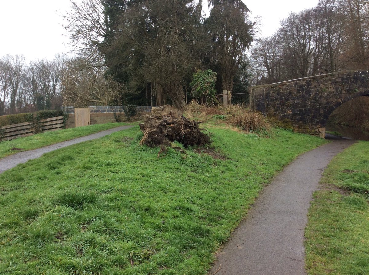 Griff_Y1's tweet photo. The Eco club are involved in the canal adoption project at bridge 47. We are making plans for the regeneration of a piece if ground. It’s a great opportunity for us to improve our local area for all to use. @Griff_Mrstaylor @Griff_DEPUTY @Griff_Ecoclub #canalandrivertrustcymru https://t.co/NcvbTi3umG