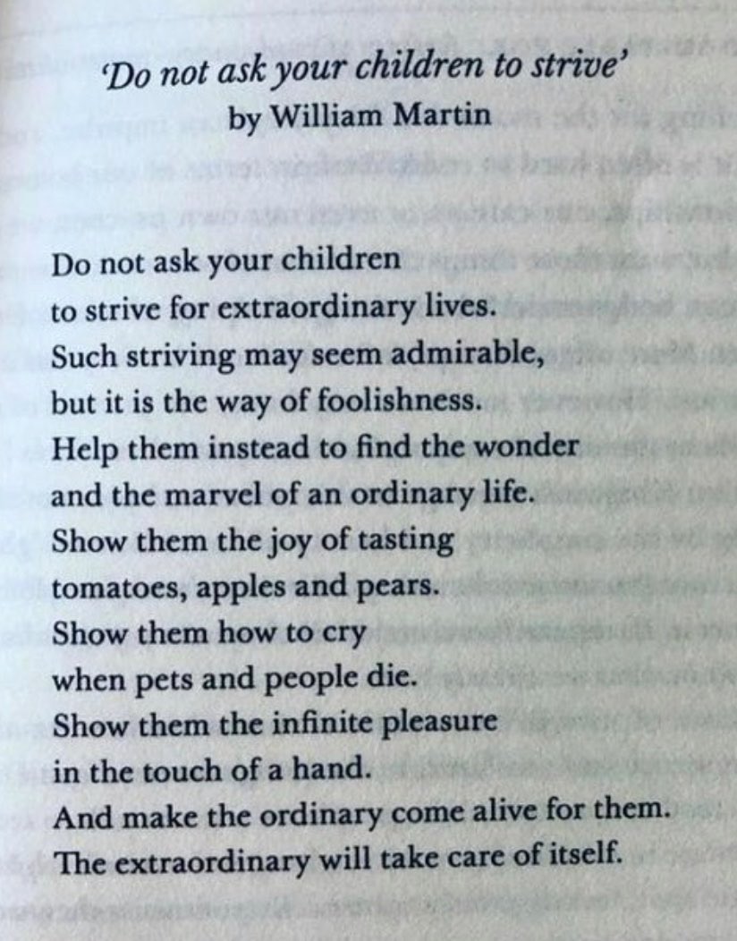 this is incredibly beautiful 🫠