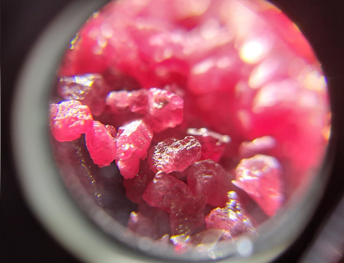 ctigems's tweet photo. 10x Triplet Loupe view of Quality Untreated Natural Burmese Ruby Rough! ✨️ 

#ruby #rough #untreated #burmeseruby #myanmar #love #beautiful #nature #amazing #red https://t.co/El0aCgmhlB