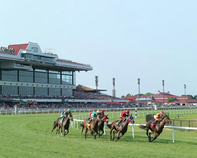 Equine Injury Database Finds Record Year for Safety - BloodHorse bloodhorse.com/horse-racing/a…