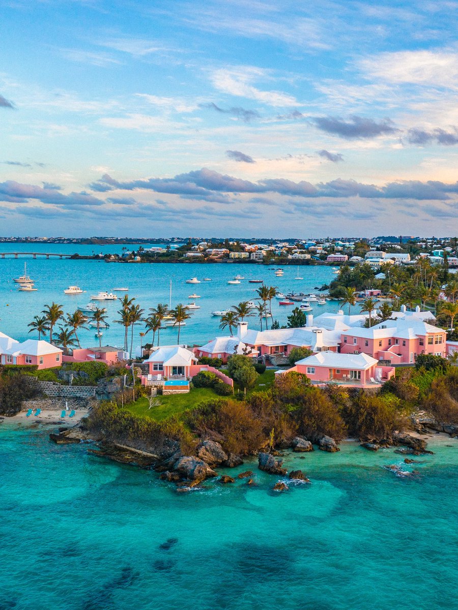 İtz ₿ermuda 👑 tweet media