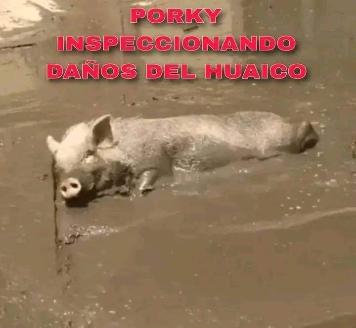 Playa Artificial en la potencia mundial.