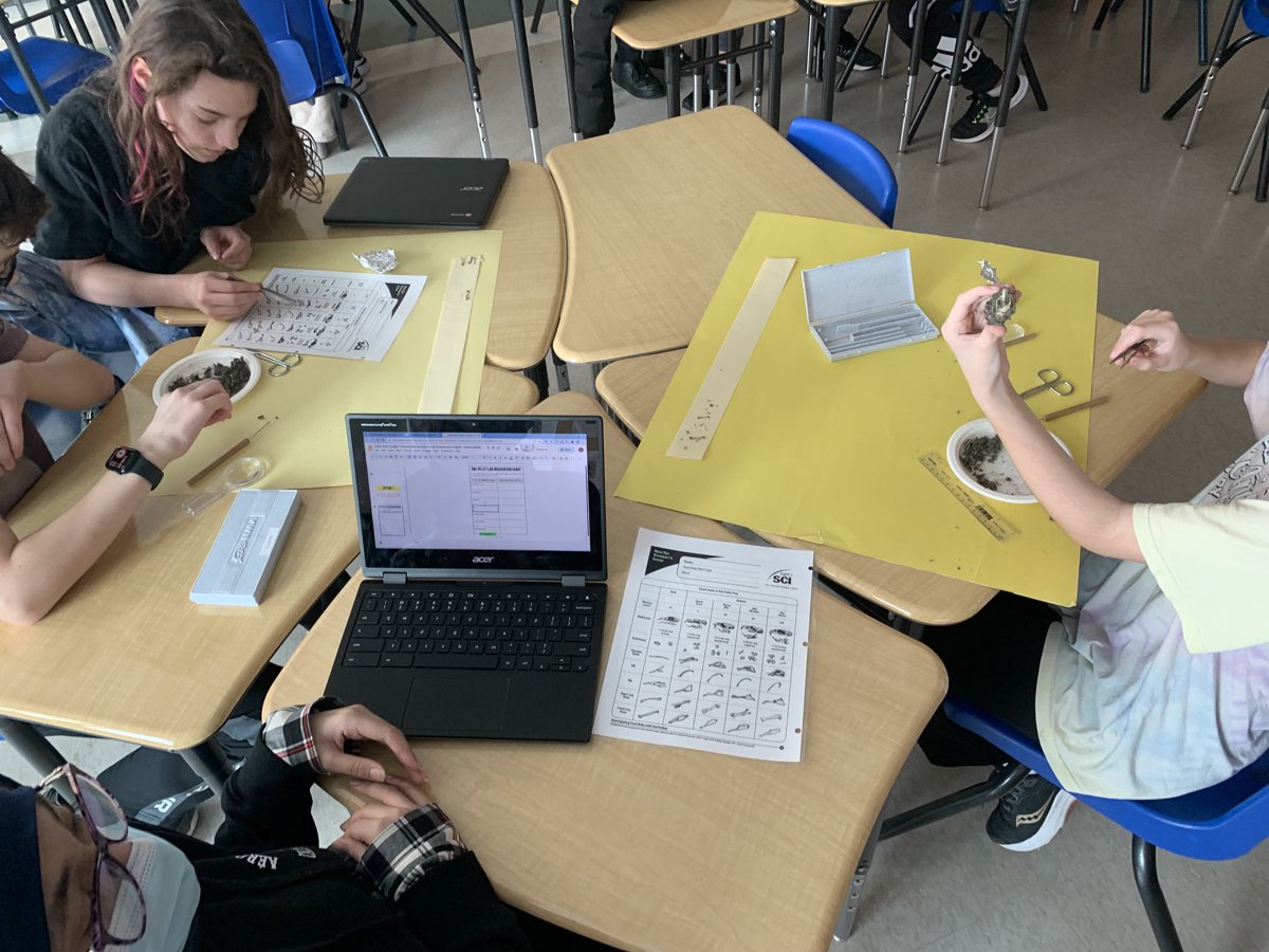 MRJSDALE's tweet photo. Kicked off this years Owl Pellet Dissections with the grade 7s in science class! They had a blast identifying the bones! #scienerules #owlpellets #happystudents ⁦@StFXOCSB⁩ https://t.co/4BvB8z2sLO