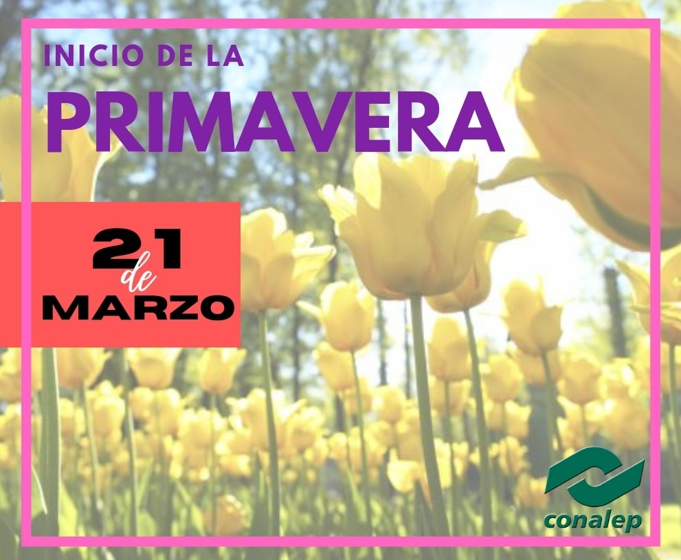 #DiaDeLaPrimavera 
#21deMarzo