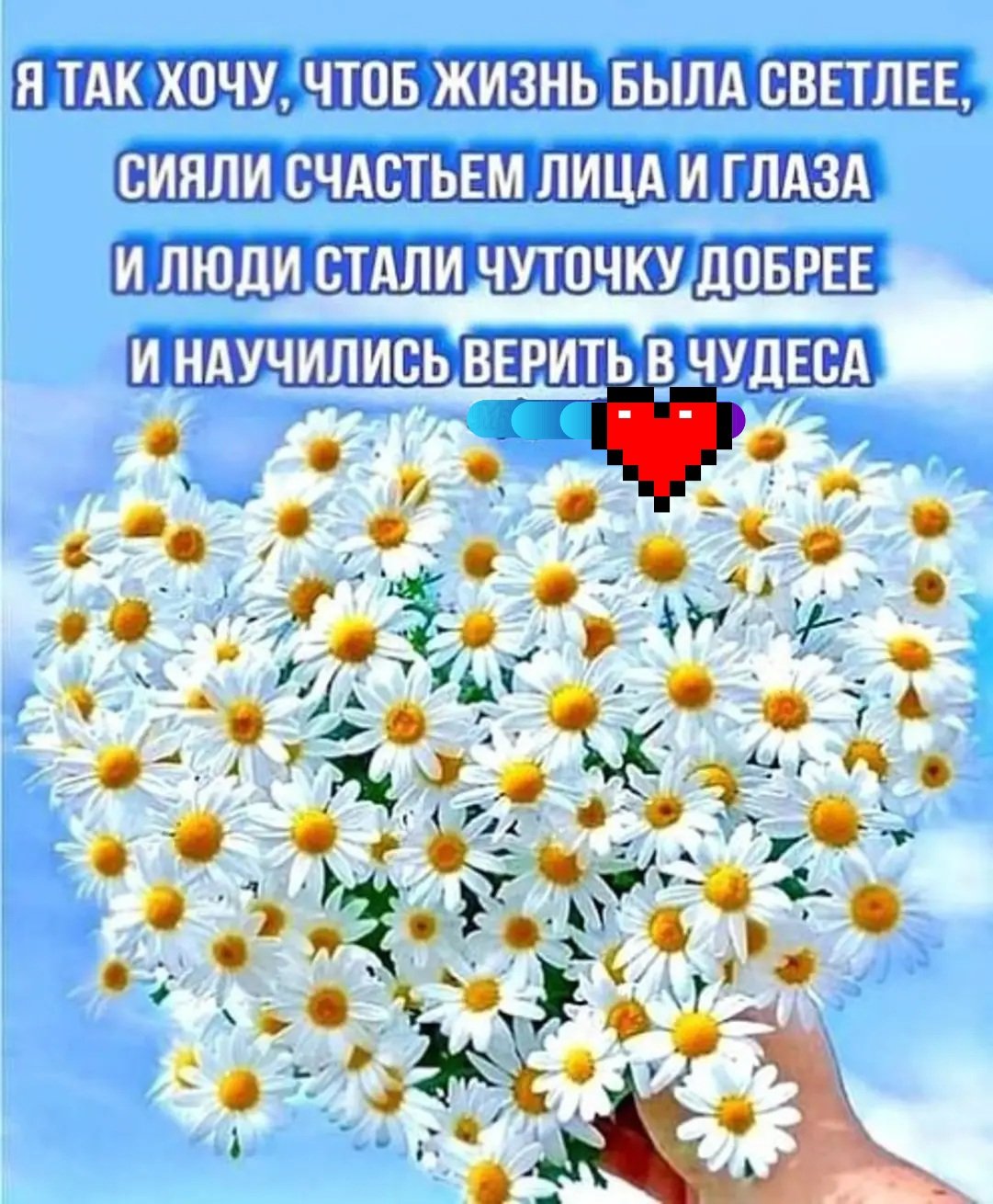 Доброго дня ромашки