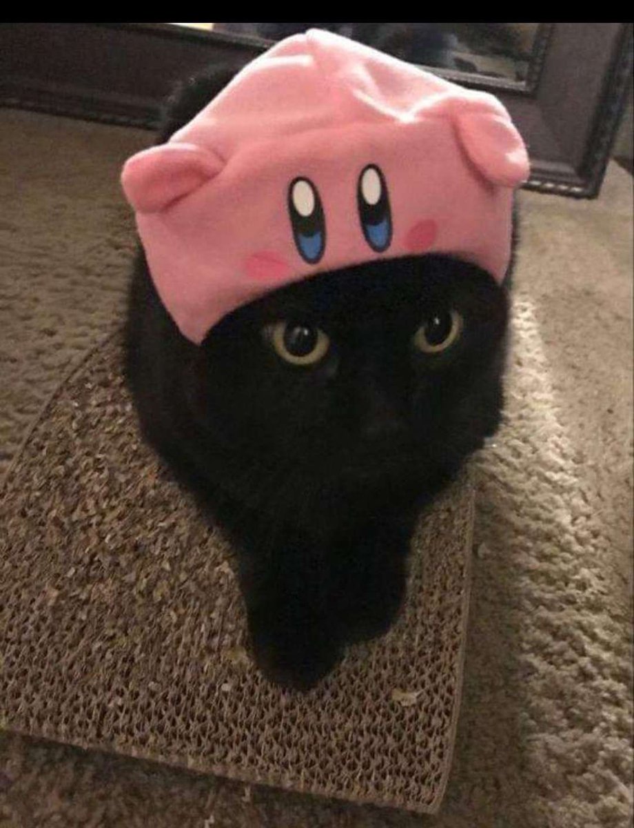 tu madre tweet media