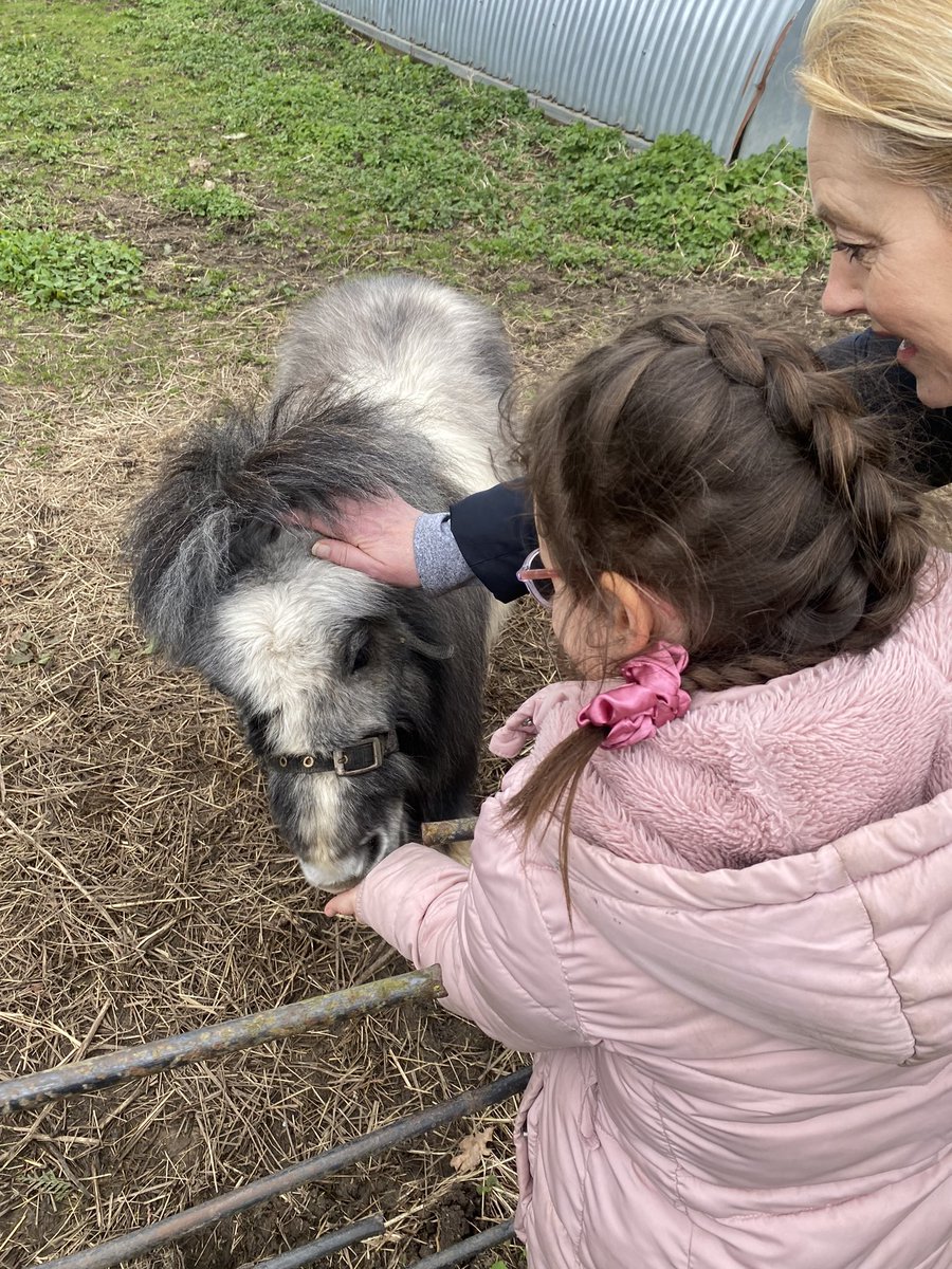 MissCooper01's tweet photo. 1B had a fantastic time at Attingham Home Farm today! We enjoyed feeding the animals and learning all about life on the farm! We even had time to play on the park! “Best day ever!” “I loved all the animals!” The sheep are my favourite!” 🐥🐑🐄🐎🐐🐓 https://t.co/50Gm8vPhwm