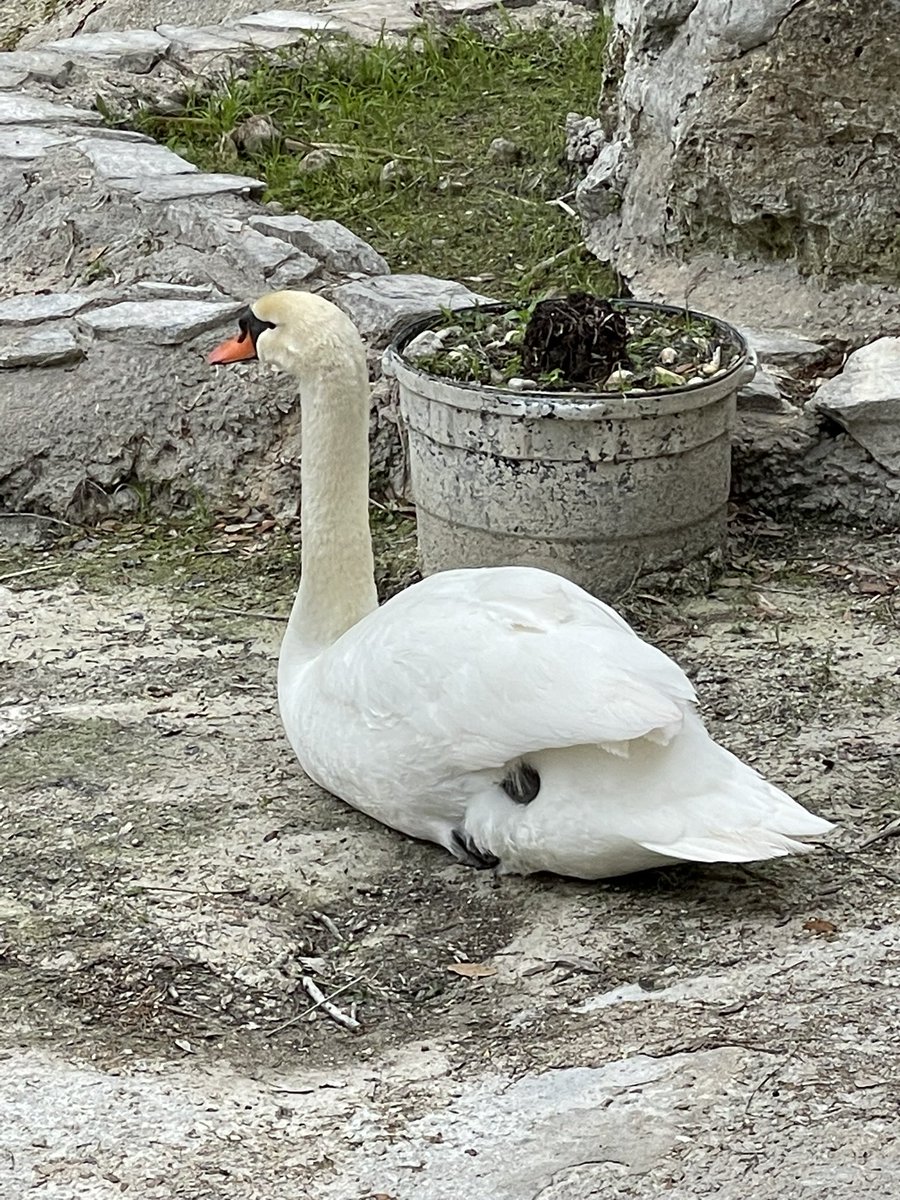 theladybeatric3's tweet image. Strike fans:  if you know, you know 😉 #Strike #CBStrike #CormoranStrike