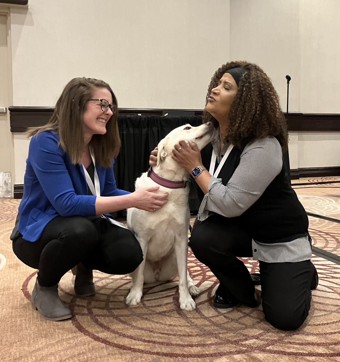 Dandy was at the TPS Human Trafficking conference &amp; gave some pre-presentation love to her colleagues Eden &amp; Jessica! VST attended the conference to share info &amp; ways to best support those affected by Human Trafficking. Our team can be contacted 24/7 at 416-808-7066 for support.