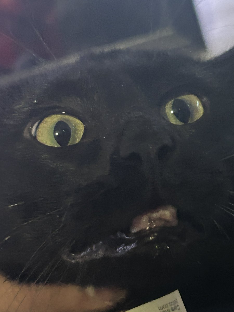 Byron Drek tweet media