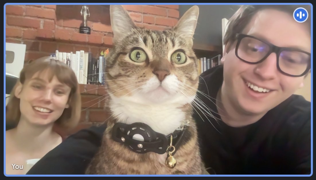 HHillierSmith's tweet photo. In a meeting this morning, our CEO decided to jump in and meow at us for not hitting our growth goals. https://t.co/eS0Tqx2G2b
