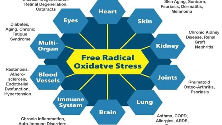 Oxidative Stress The Beginning of Disease ionicalliance.com/oxidative-stre…