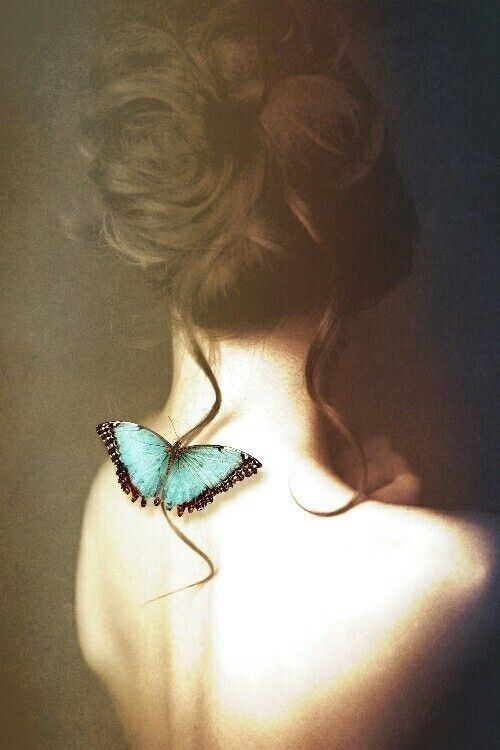Life is like a butterfly. Today you fly, and tomorrow you are lost in the breeze of the wind. ~°• 🦋 •°~