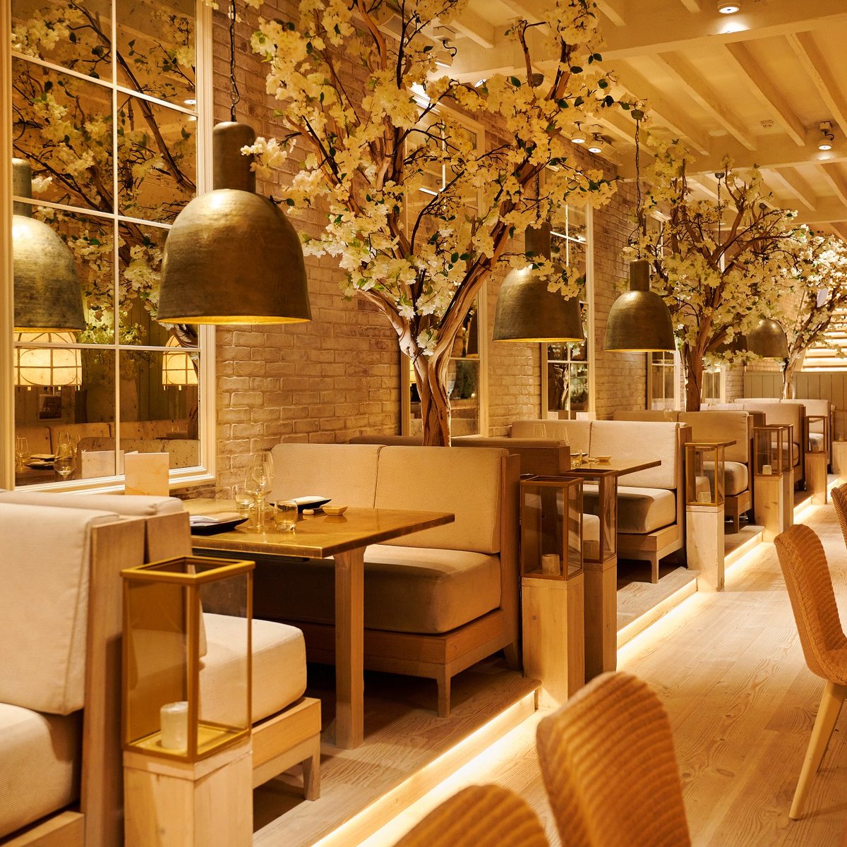 AustralasiaMcr's tweet photo. Celebrate Hanami with us beneath the heart of Manchester… 🙌

Dine beneath the blossoms with our exclusive Hanami tasting menu, featuring three waves of dishes inspired by the festival and our love for Japanese fusion. 

#hanami https://t.co/Z9pwEbbFA3