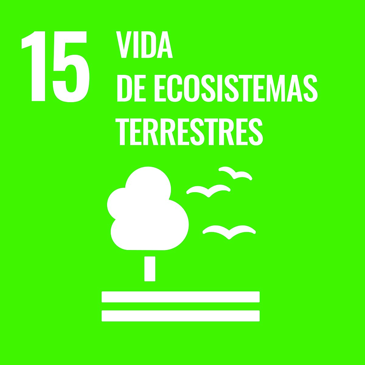 IMPLANDGO's tweet photo. 🌎#MartesDeODS 
15. Vida de ecosistemas terrestres
A nivel mundial: 
•2.6 miles de millones de personas dependen de la agricultura
Pero
•52% de la tierra agrícola se ve afectada por la degradación de suelos
#ImplanDgo #ODS #Agenda2030 #ElFuturoEsContigo https://t.co/r6lVc1EI4C
