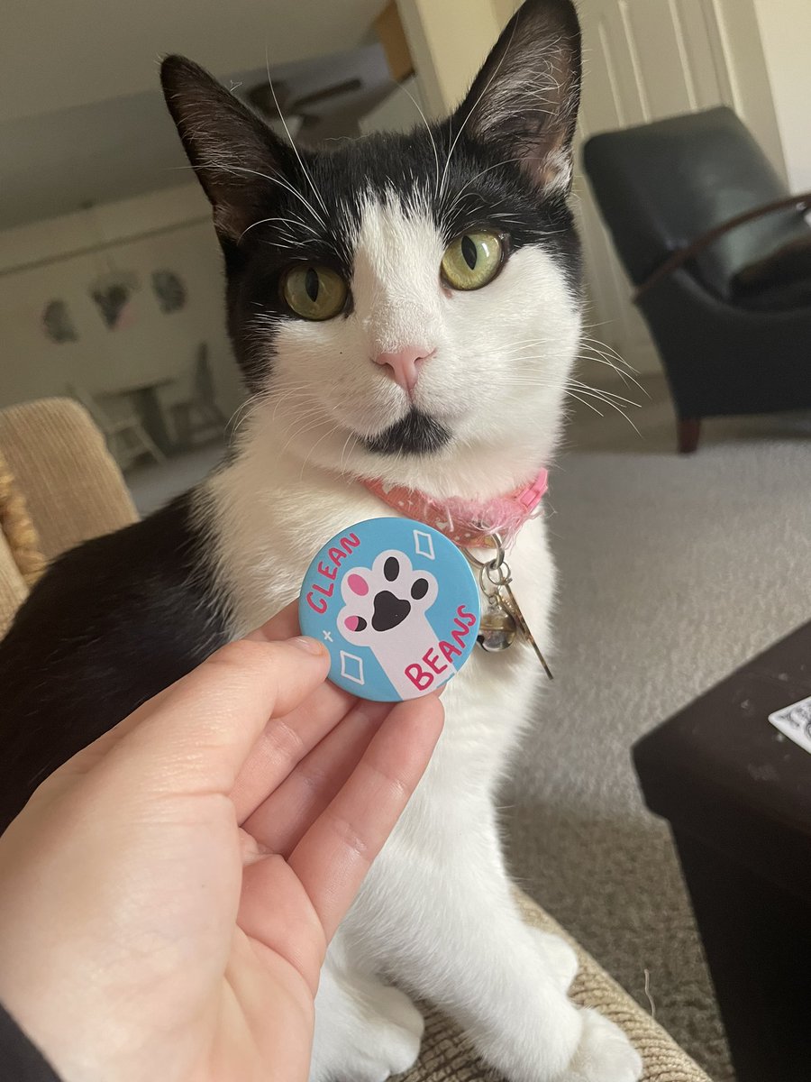 princess_sticky's tweet photo. Stickmom said dis pin remindz her of me. 

if so y she call my beanz stinkee 🧐 

(pin by https://t.co/5oQ2VcYy5D on ig!) https://t.co/rLNjadlZyl