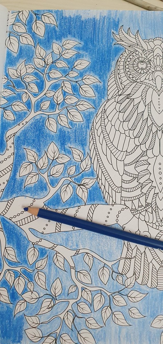 What keeps you in night?

#coloringbook #coloring  #adultcoloringbook #adultcoloring #coloringbookforadults #coloringforadults #ArtistOnTwitter #coloriage #coloringaddict #art #colorful #adultcolouring  #ColoringPage #prismacolor #wonderfulcoloring
