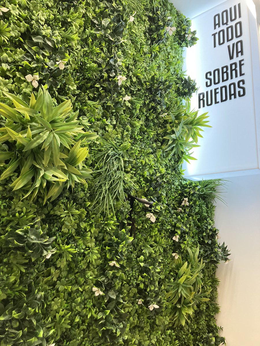 ClemenceRidoux's tweet image. #WelcomeToMalaga ☀️
Jour 2 de notre #LearningExpedition avec @ESSCA_Ecole 🍃
⌛️ On ouvre nos #Chakras
💡 On s’inspire #Innovation 
Saviez-vous que #Malaga compte 13 incubateurs de #Startups ? 🧭
#InDigitalWeTrust #Digital #DigitalTransformation #School #Essca