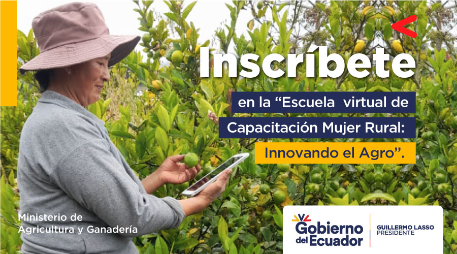 El MAG, a través de la Subsecretaría de Redes de Innovación, promueve la Escuela de Capacitación #MujerRural 👩‍🌾: Innovando el Agro, para fortalecer la educación de las mujeres y disminuir la desigualdad con la generación de conocimientos.

Inscríbete ➡ bit.ly/42wZE8o