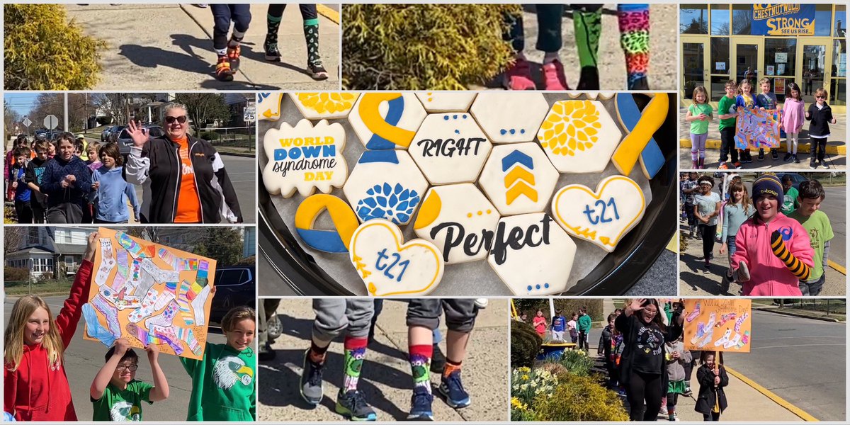 Chestnutwold_ES tweet media