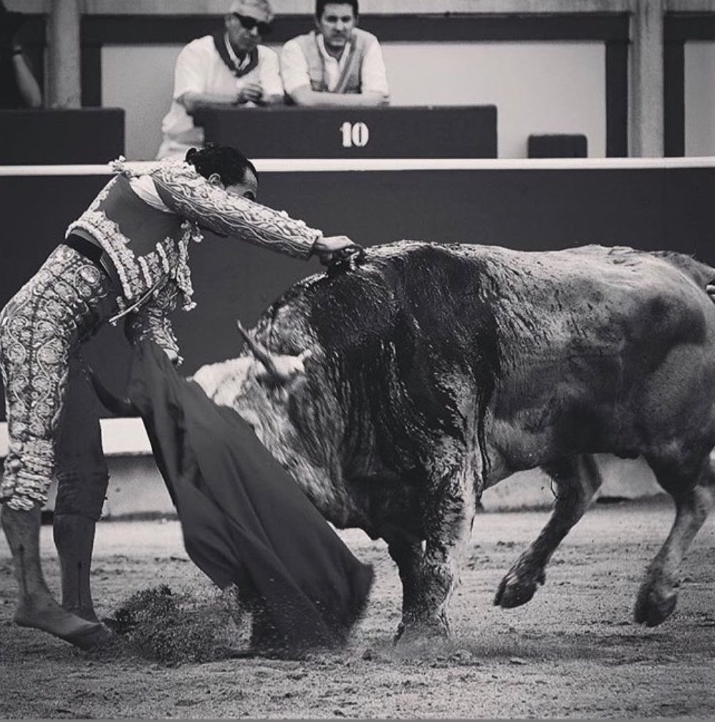 🦁🦁🦁💚💚💚 #orgullofandiñista #orgullodemitorero #🦁🦁💚💚💚 #mitoreroesunleon🦁🦁 #fandiño #ivanfandiño