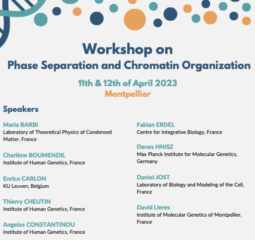 Pleased to invite you to our mini workshop, we organise together with @bardou_marion and @LoucifRemini !                 #biophysics #3Dgenome #LLPS #generegulation #DNArepair                        Registration:
forms.gle/88KxRFDnCm5r47…