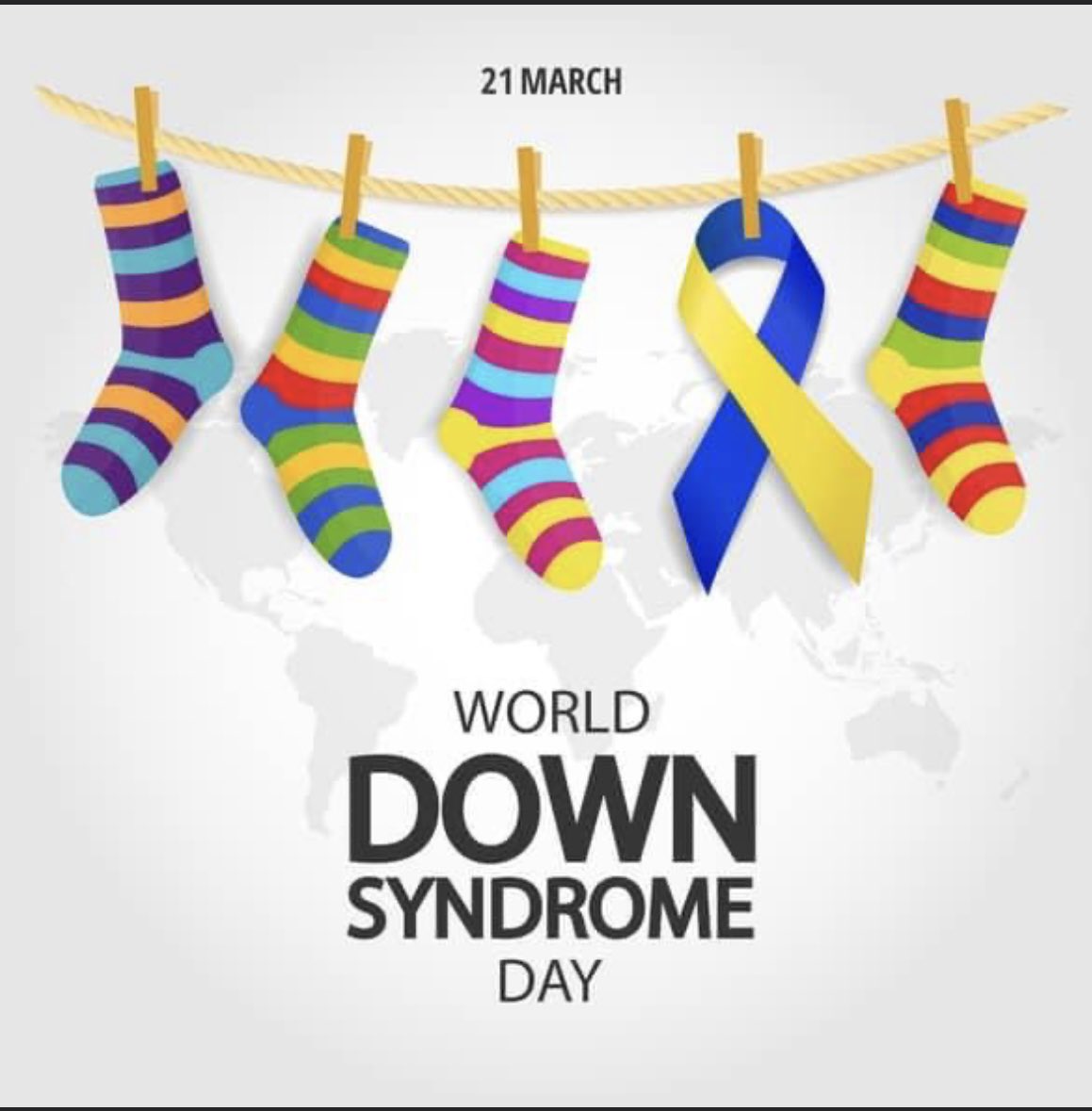 Trevecca Softball 🥎 💜 tweet media