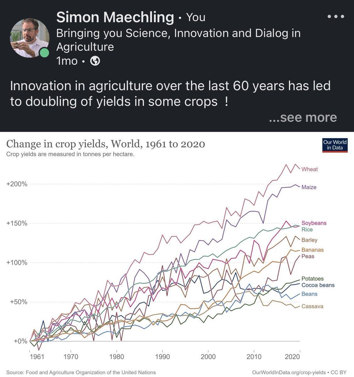 Simon Maechling tweet media