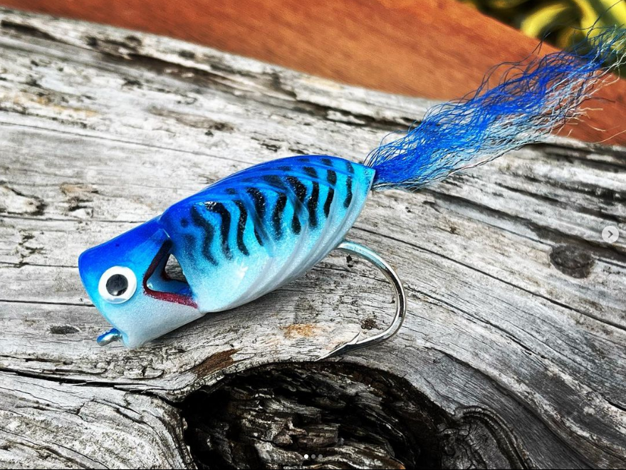 Saltwateronfly's tweet photo. Cool looking popper
@cghcustometackle Big old 5/0 Coola popper in Tinker Mack. 🐟
#coolapopperfly
#foamfly
#cghflures
#bridgingtheflyluregap
#tinkermackerelfly
#tinkermackerel
#saltwaterflyfishing
#tailflyfishingmagazine
#fortheloveofflures https://t.co/dRM6qQV6zQ