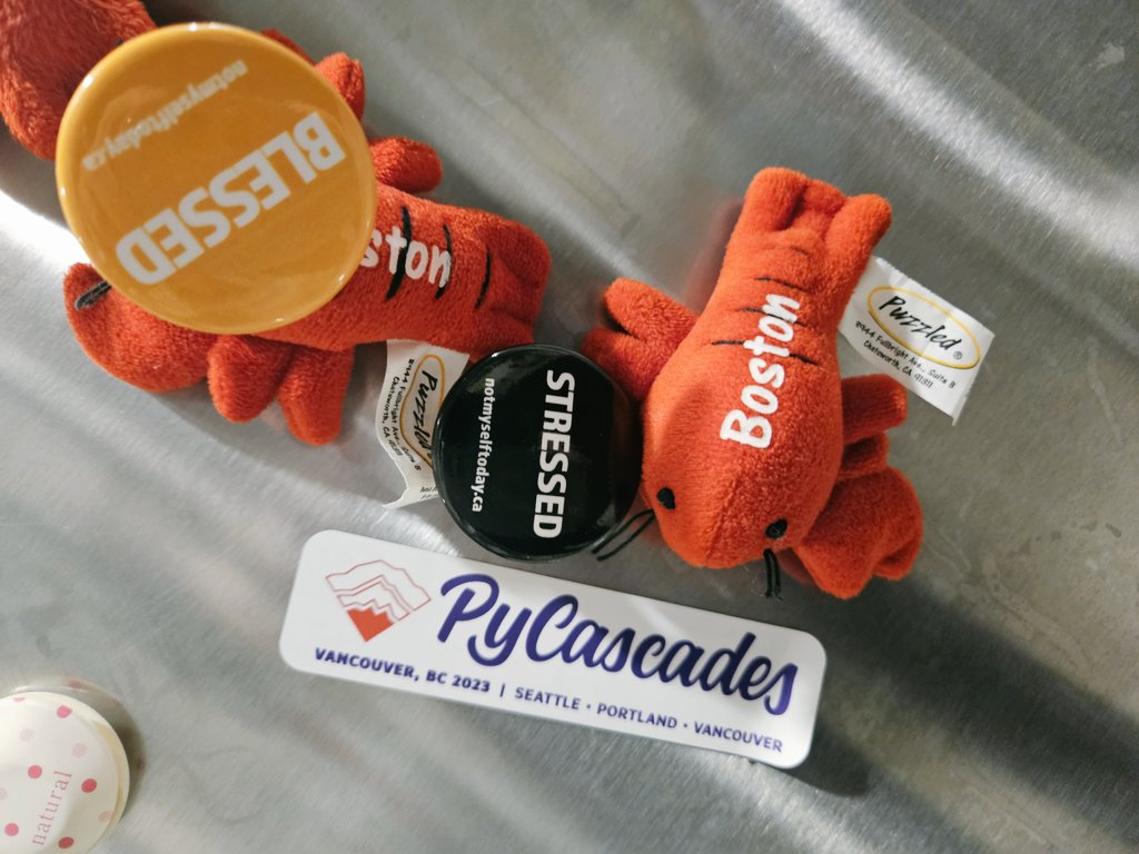 I stuck my #PyCascades magnet next to my other magnets, and this combination perfectly describes my experience as a first time organizer for #PyCascades2023

I met many incredible people and saw that everyone had a great time

Stressed but blessed!
