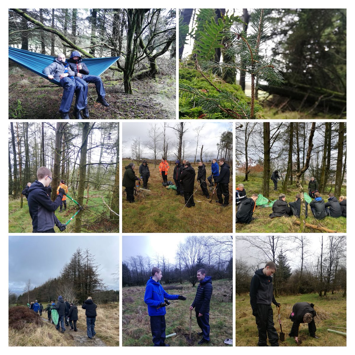 woodlandlearn's tweet photo. Acing week 3 of the Scottish Junior Forester Award @scotforestry the @GlenifferHigh crew were tree planting and larch brashing in Gleniffer Braes, perfect for #InternationalDayofForests. Well done everyone! https://t.co/5MPG1X4MGC