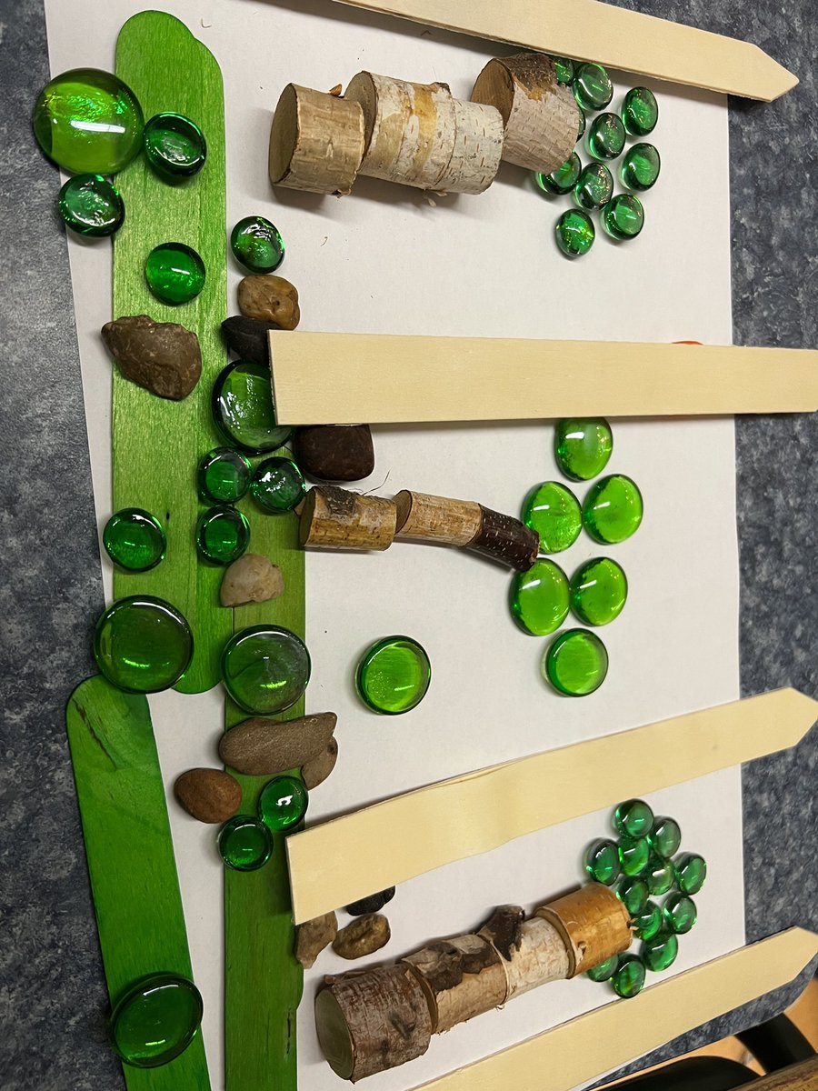 DHS Paterson tweet media