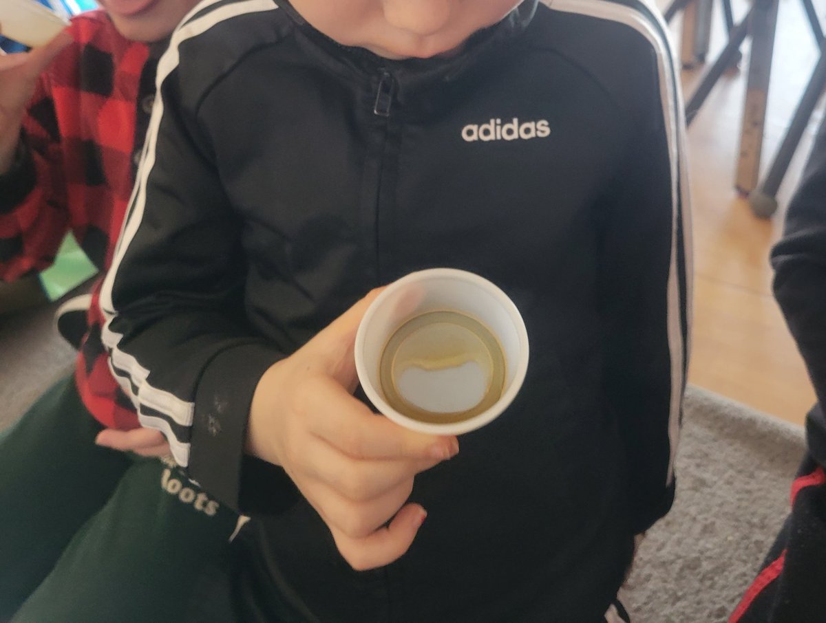 aliciaanao's tweet image. An exciting day of tree tapping! Step 1- identify a sugar maple. Step 2- tap the tree. Step 3- boil collected sap. Step 4- taste test! Isn't nature sweet! @EZieglerPS @wrdsb #outdoorlearning #wrdsb