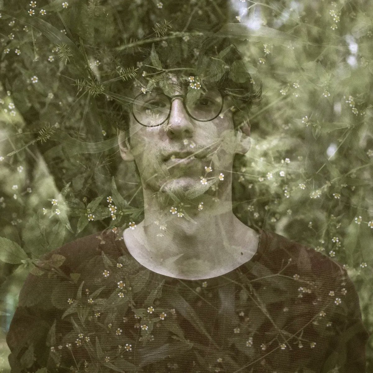 Micelios tweet media