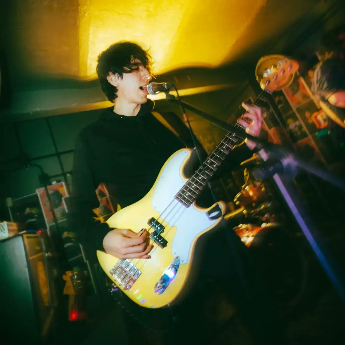 Micelios tweet media